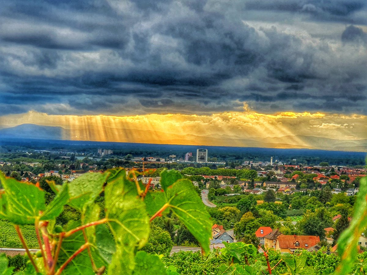 War das ein Ausblick aus unseren Reben 😍