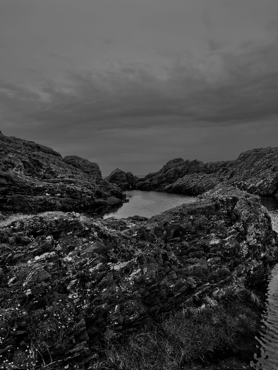 JoannaCash11's tweet photo. Warning pic may contain dead rabbits!Out at my favourite place where the demons can't find me, the beauty of nature even the morbid always calms me. #langness #photography #randompics #mentalhealth #bipolar #bipolarclub #manic #demons #dogwalking #death #rabbits #macarbe #beauty https://t.co/NPSyWUzuw8