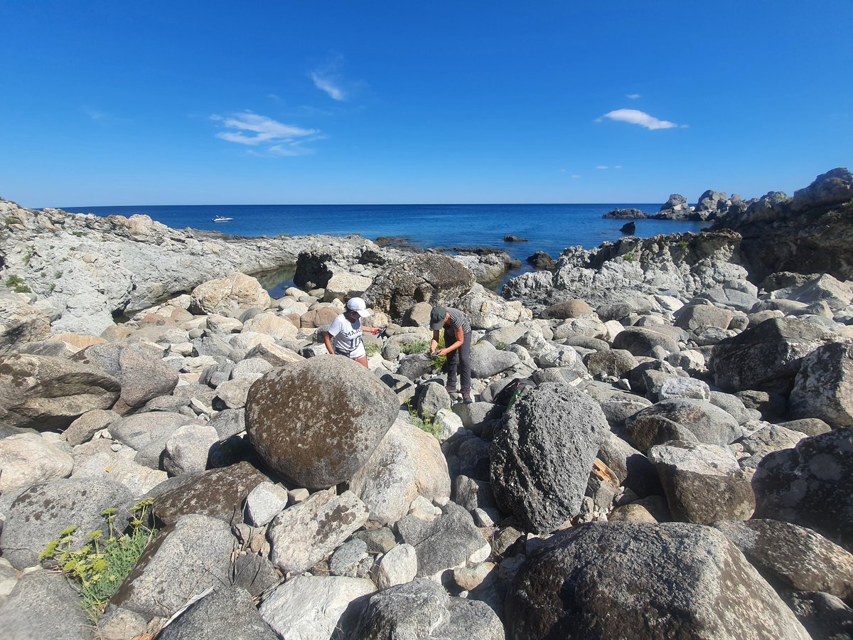 Field work of botanists.