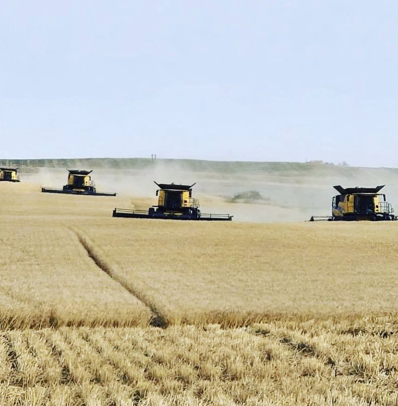 PowHERPlatform's tweet image. A good friend of mine recently shared this image of an all-female harvest crew driving their combines. 🚜 

Thanks to these amazing women for doing their part to feed so many hungry folks! 

#FarmersFeedCities #WomenWhoFarm