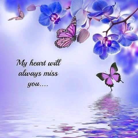 InokumaT's tweet photo. @TheCatMalice We are so sorry to hear this πΏπ Love you always and forever our sweet nephew π #ForeverInOurHeartsπ #RestInLove brave warrior β€π Rraaaar #ZSHQ #ZSHC
#theruffriderz
https://t.co/5AaEdqw06V https://t.co/Lonp6JAKh9