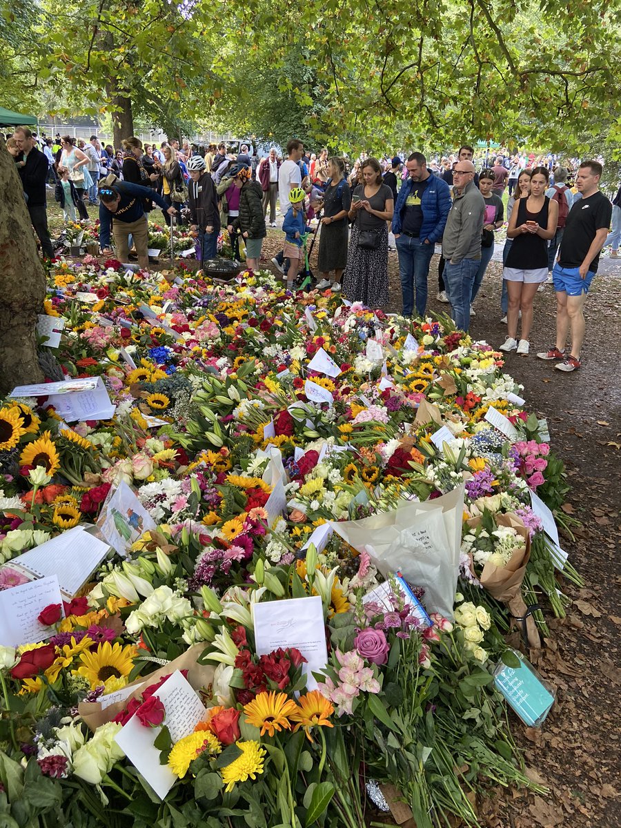 Thomas Soo tweet media