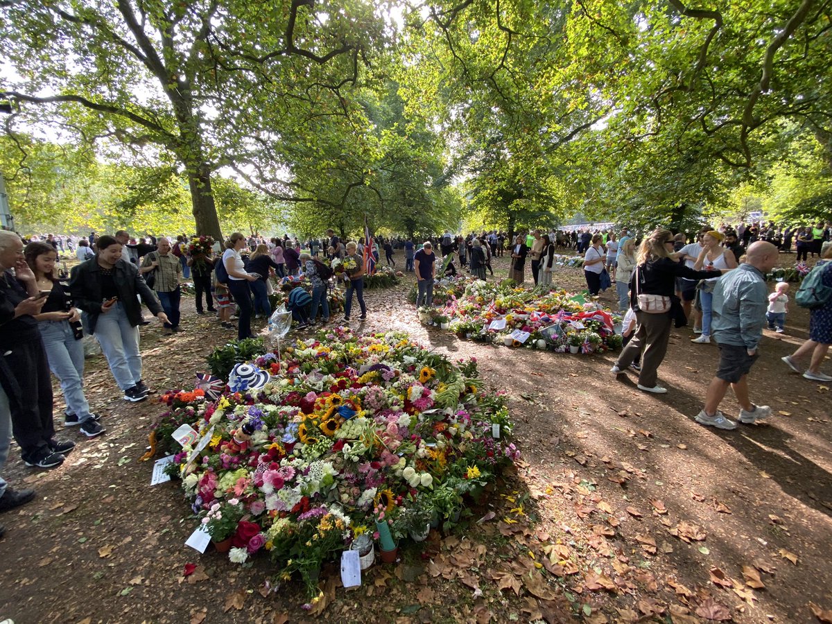 Thomas Soo tweet media