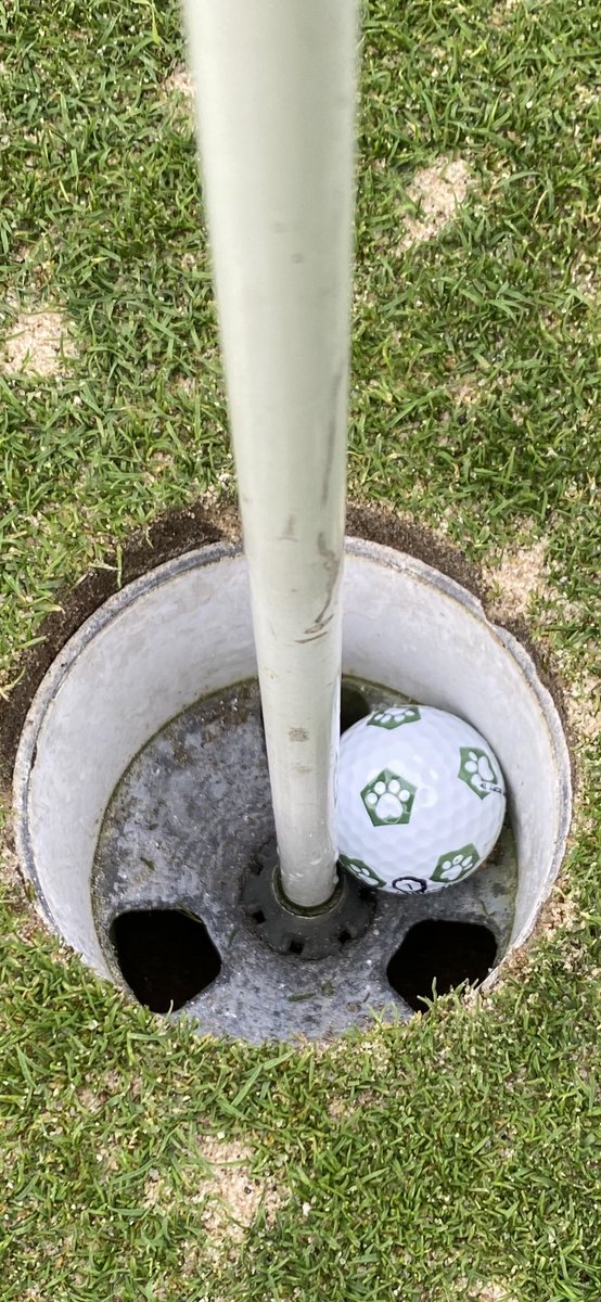 pchapinsmith's tweet photo. @Amanda_Balionis check out the ball I used to get my first hole in one today 🙌. The good karma from Puppies and Golf had to have helped ⛳️ 🐶 https://t.co/9JvdnNkq8c