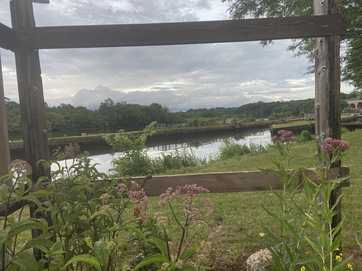 In environmental monitoring, a picture is worth a thousand words. Crowd-sourcing hundreds or thousands of field photos for sustained environmental monitoring and reporting is even better! Proud to implement this #civicscience monitoring project with the #LRWP #lookfortheriver