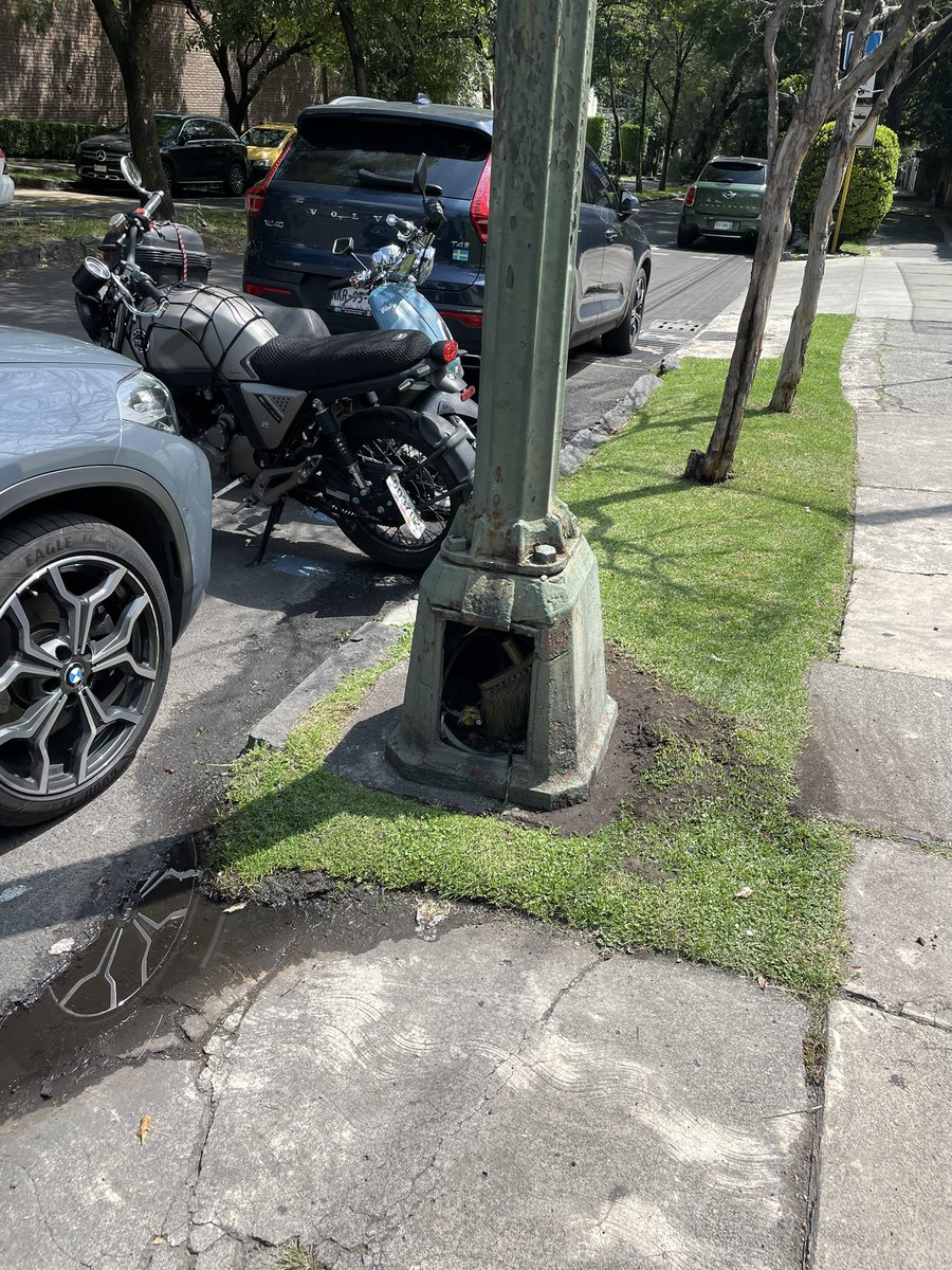 Mafer Blanco tweet media