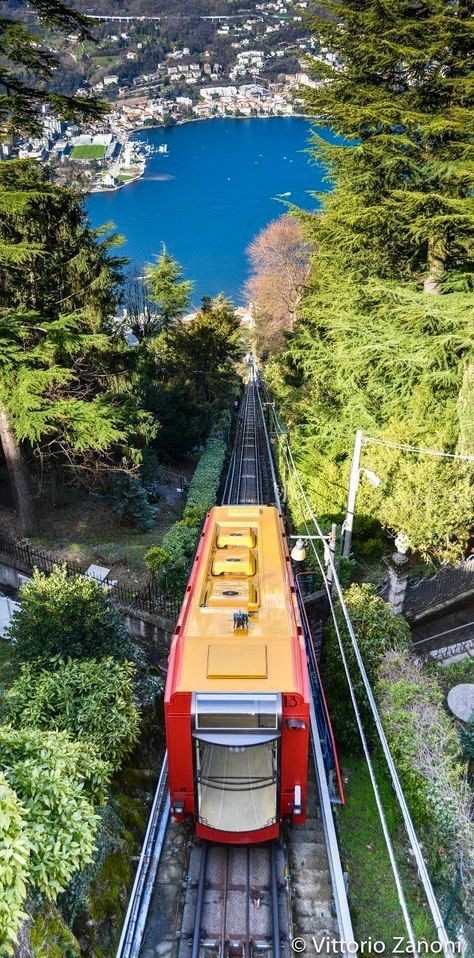 Carmen Morell on Twitter 