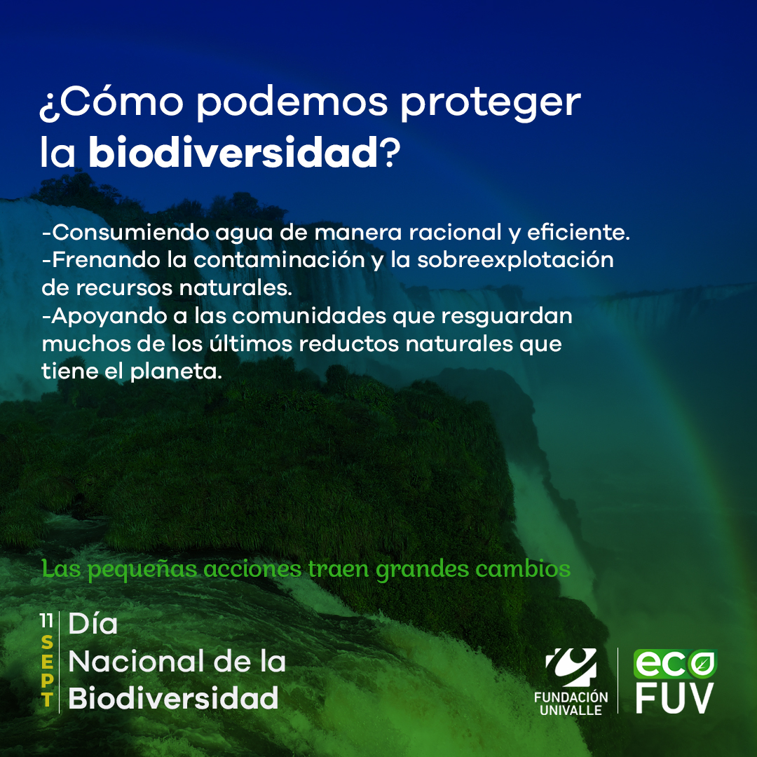 #ProyectamosFuturo | En el #DíaNacionalDeLaBiodiversidad te invitamos a tomar conciencia de cuidar el aire, el agua y las diferentes formas de vida que existen en nuestro planeta. Proteger la biodiversidad es responsabilidad de todos.