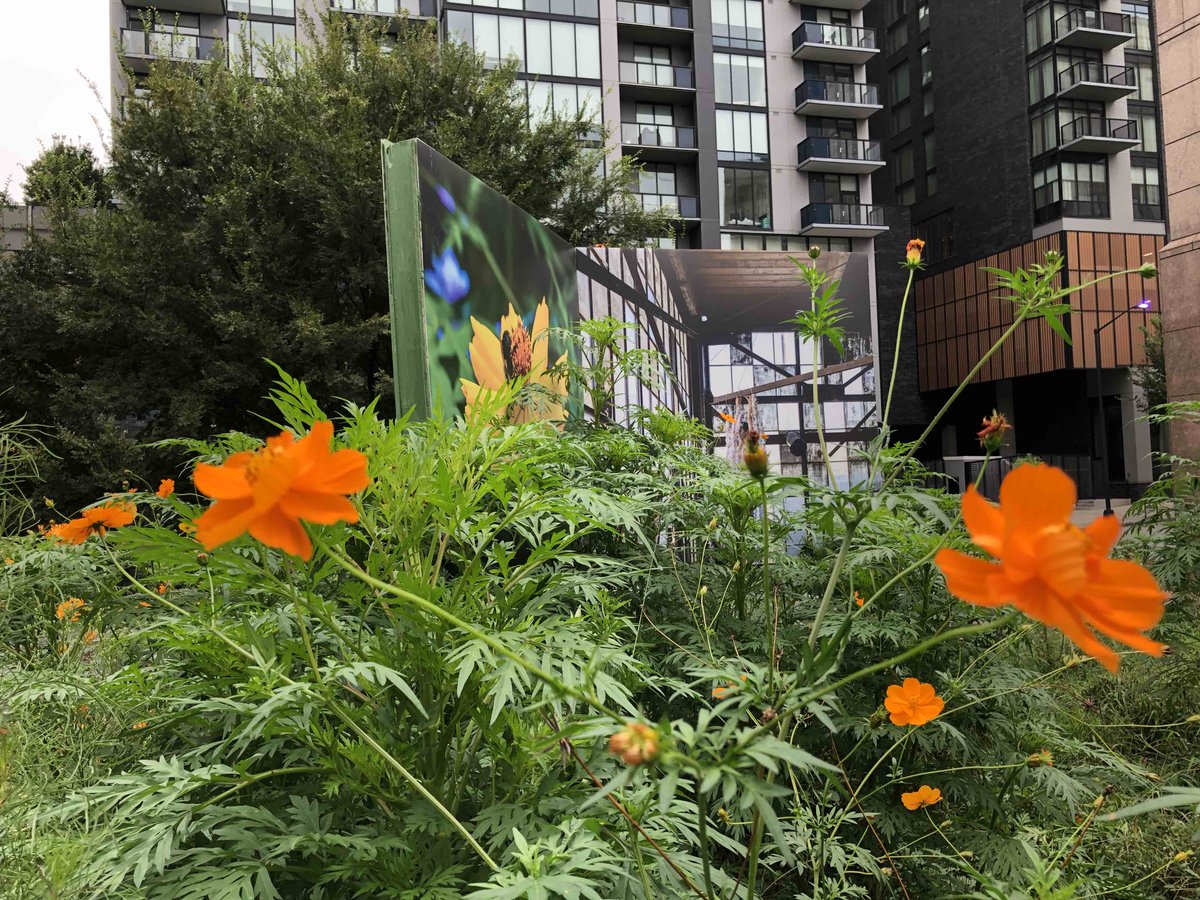 gloATL's tweet photo. Tonight: Movement and Music at 17th Street Prairie @glo_platform 💐 - https://t.co/rAJlLjxMAb https://t.co/RXlAxXrqK3