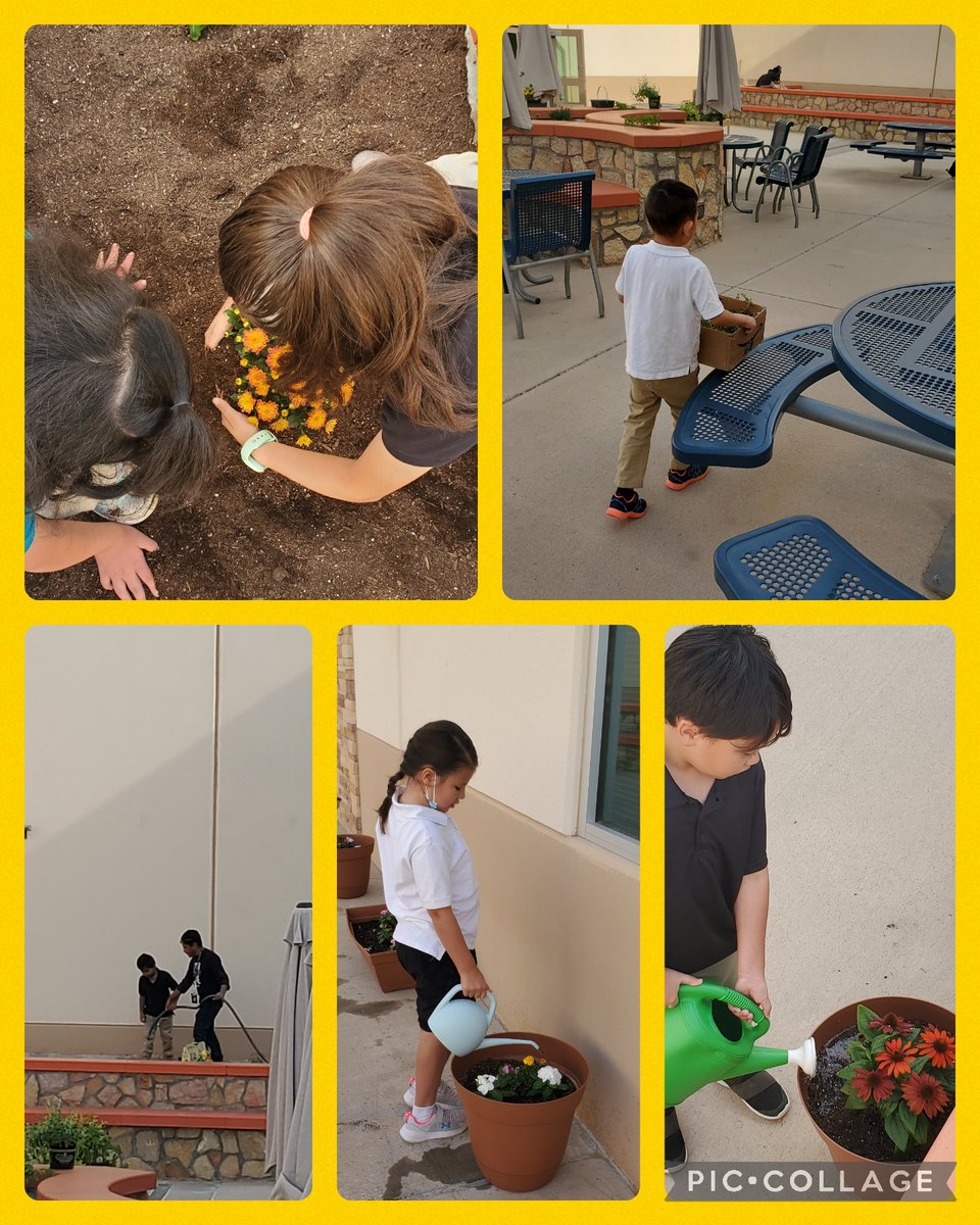 MGALIN01_CBNES's tweet photo. The Fabulous Learning Society continues to beautify our campus. We are #LovingEveryGrowthOpportunity. Fun Fridays are the best! Gardening and cooking. 🥰 Mr. Butler would be so proud. #jpb_coyotes #FabSquad #TeamSISD https://t.co/2By9pWgHNV
