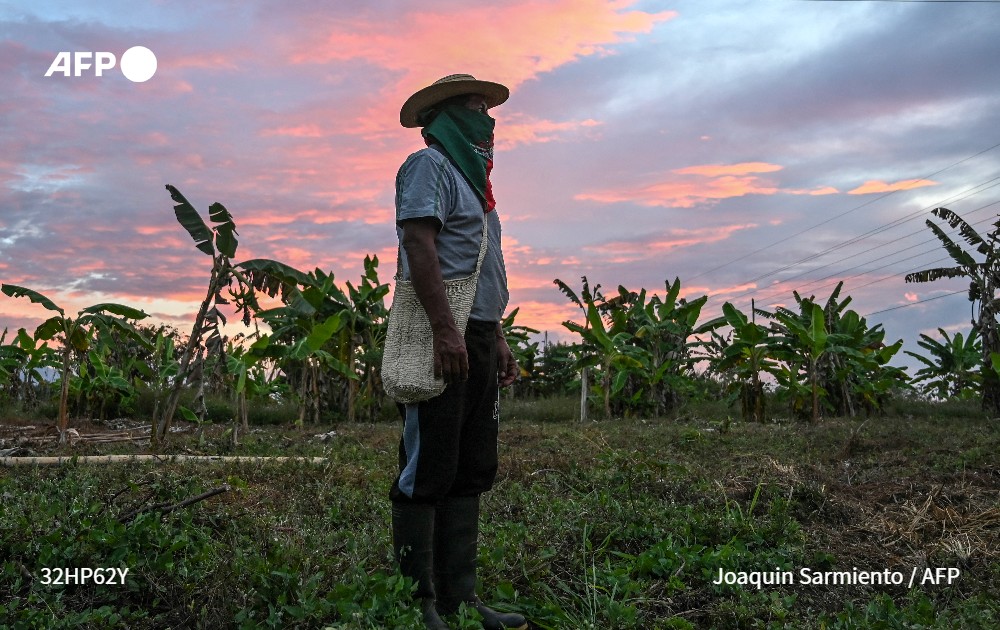 Agence France-Presse (@afpfr) on Twitter photo En Colombie, bataille pour la terre entre indigènes et afro-descendants #AFP
➡️ u.afp.com/ikp2
✍️ <a href="/unacuentadenada/">Sebastian Serrano</a> En Colombie, bataille pour la terre entre indigènes et afro-descendants #AFP
➡️ u.afp.com/ikp2
✍️ <a href="/unacuentadenada/">Sebastian Serrano</a>