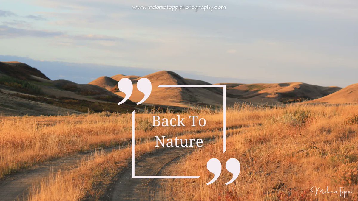 nature_buff's tweet photo. Sometimes it is good to get back to nature to just get back to you.
#getoutside #adventure #lowkeyadventure #naturebymelanie #lovenature #stopandsmelltheweedstoo #explore #nature #TwitterNatureCommunity #TwitterNaturePhotography #backtonature #prairieviews #explorenature https://t.co/gU1WNkSwEz