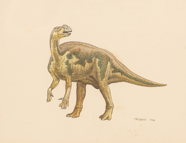 Everything Dinosaur tweet media