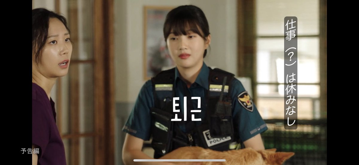 ONECEBUDDYIZ's tweet photo. 田舎町ダイアリーズ、面白い！
RedVelvetのジョイちゃんも可愛い！
#Netflix 
#田舎町ダイアリーズ https://t.co/QJVXf8iHXK