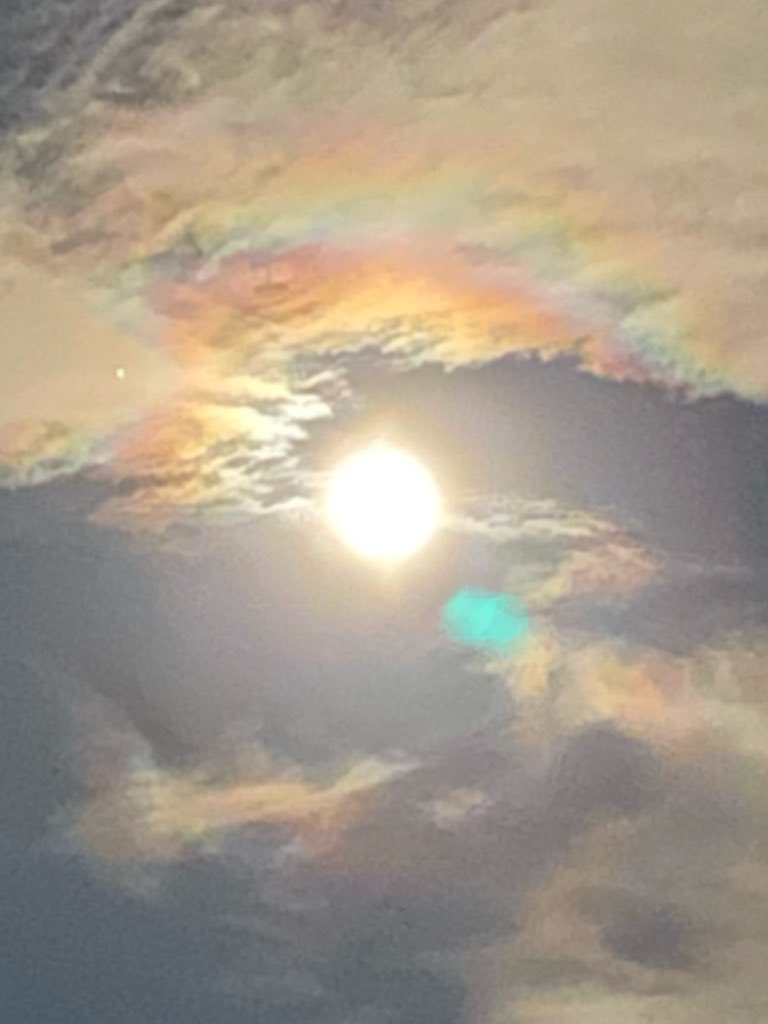 シェリー (@sherry__0523) / Posts / X