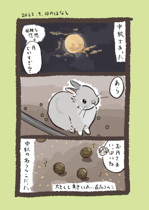 前後してこれは昨日のrabbit…🌕

#うさぎのいる生活 
