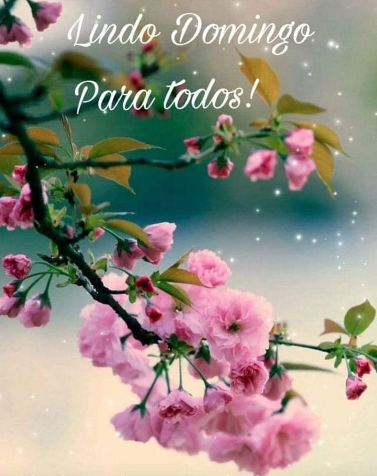 AlvaConchy's tweet photo. 😇 Hola saludos atod@s 😇He estado ausente un tiempo por un problema personal. Se va solucionado despacito y entraré a visitaros. Gracias amiguita😘 tus palabras me dieron ánimos 😇🌹🌹 https://t.co/k2icpNozS3