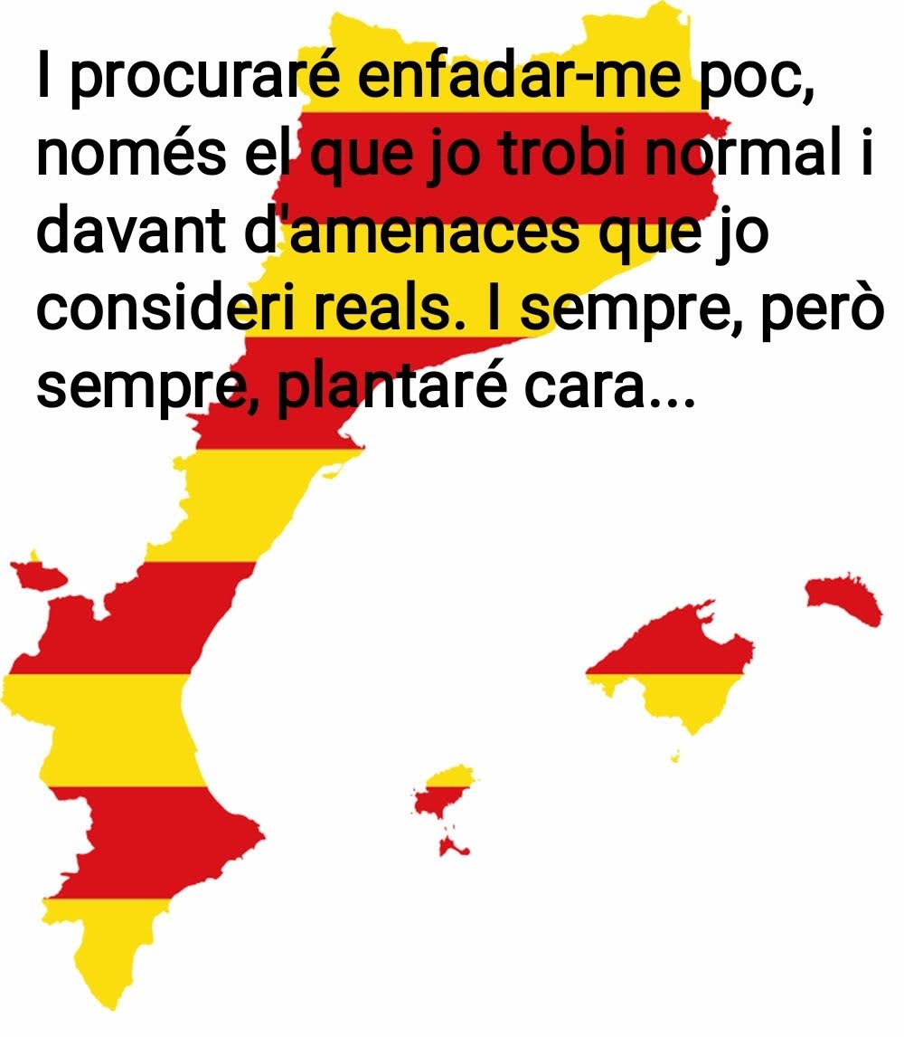 cotodol50's tweet photo. #Diada2022
#CarlesCapdevila https://t.co/e4TIJAuTgg