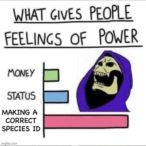 friel's tweet photo. #Skeletor speaks my truth. https://t.co/DdrO1vHJrk