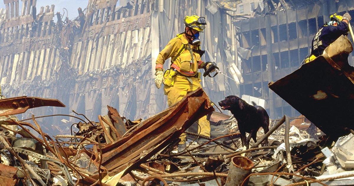 🇺🇸 As we pause to reflect on the impact 9/11 has had on our nation over the past 21 years, we would be remiss not to honor the canines who served our nation alongside human heroes. Thank you to these brave pups and their handlers.