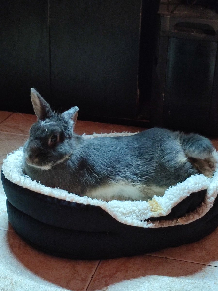 AliSlower tweet media