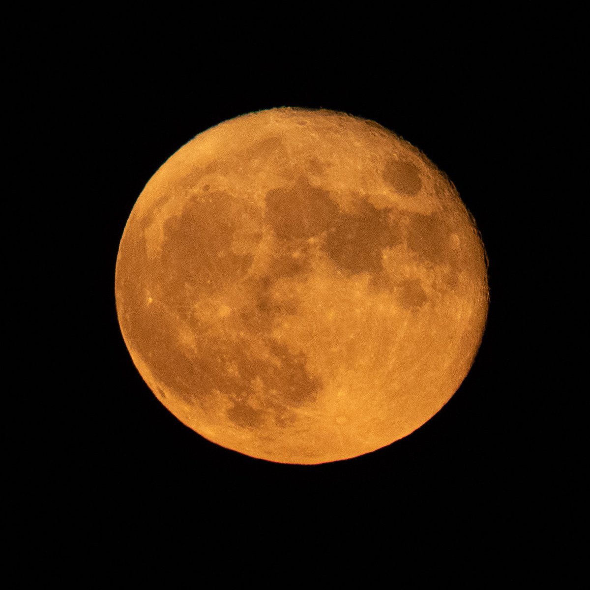 Right now. To the moon. #stepn #moonfestival #MidAutumnFestival