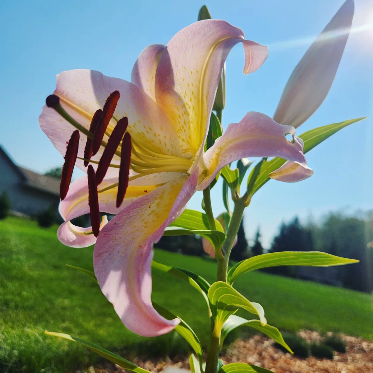 Kensey Schultz tweet media