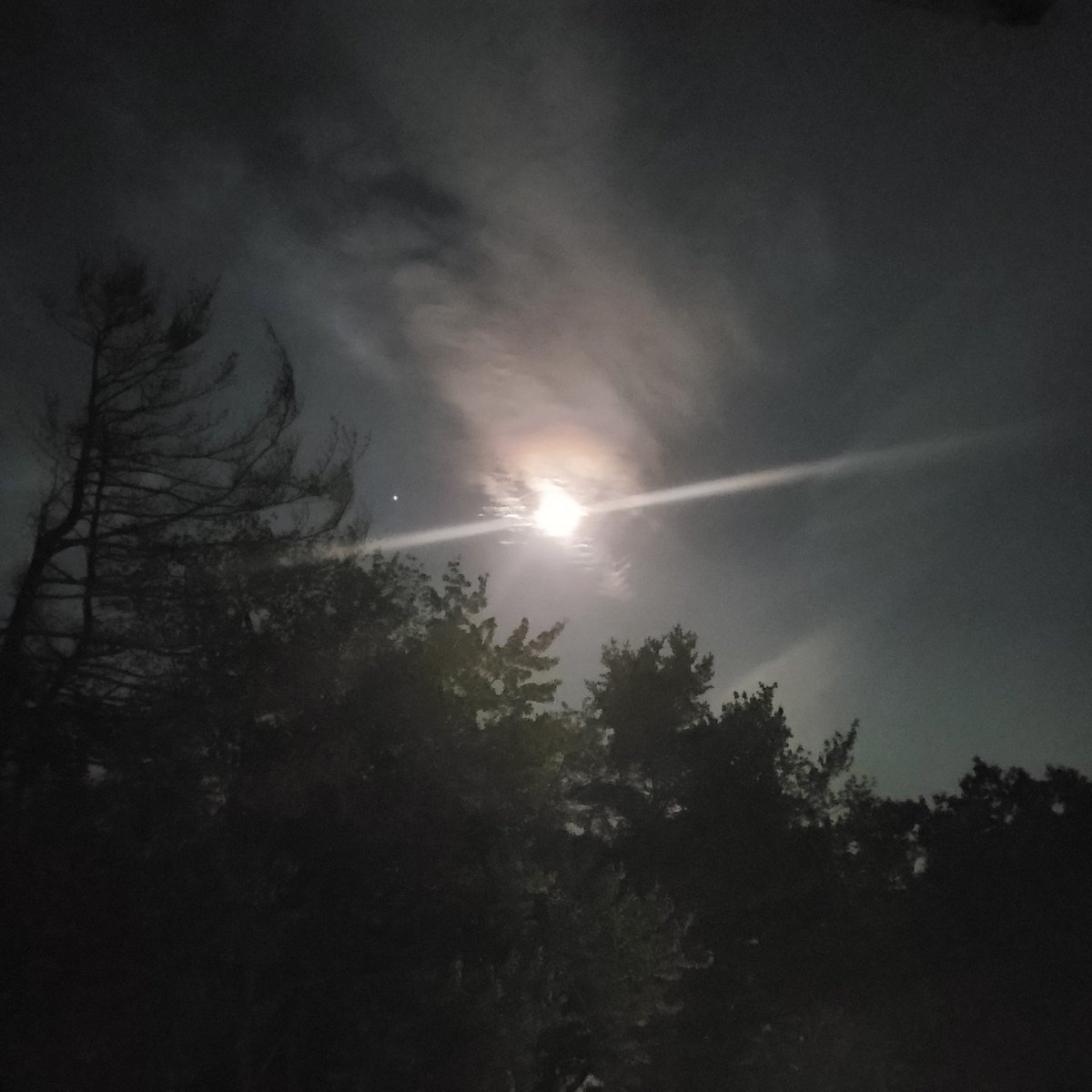 AlainaFroton's tweet photo. The #fullmoon in #Pisces last night was gorgeous 🖤 https://t.co/dTr0GaVjio