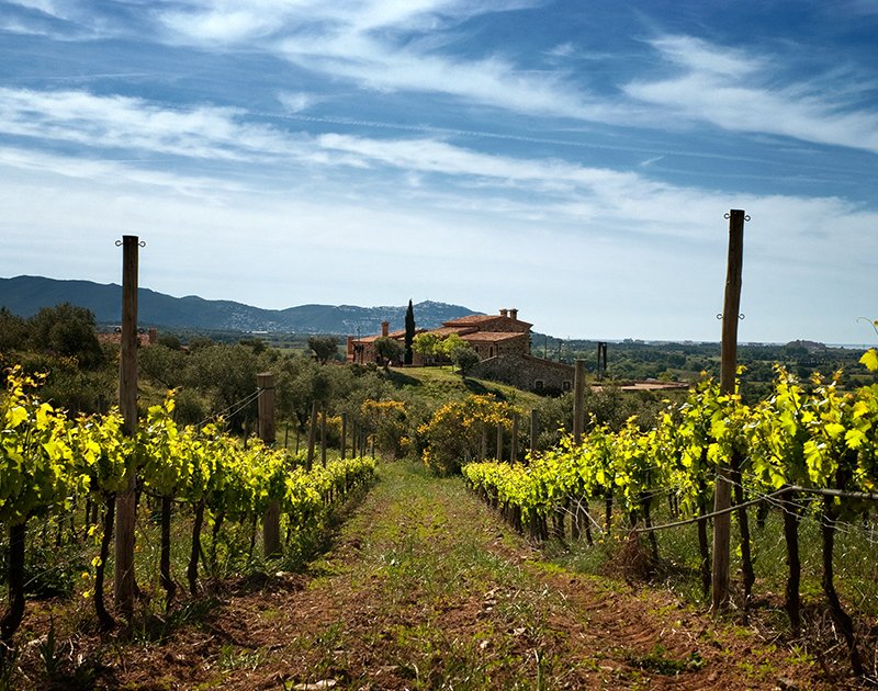 Beu-te el museu amb... el <a href="/CellerEspelt/">Espelt Viticultors</a>!

🎨 El Castell Gala Dalí de Púbol i el celler s’uneixen per fer-vos descobrir l’espai que Dalí va dissenyar com a refugi per a la seva musa.  Amb tast de vins finalizada la visista🍷
🗓 Diumenge 9/10
🎫 Entrades a costabrava.koobin.com