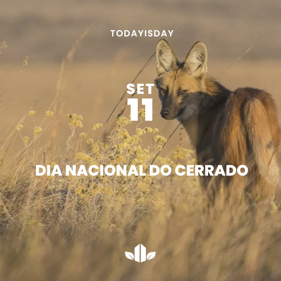 ARMY_HTP's tweet photo. 📆 | O Cerrado é uma das regiões de maior biodiversidade do mundo, e estima-se que possua mais de 6 mil espécies de árvores e 800 espécies de aves. Ao lado da Mata Atlântica, é considerado um dos biomas mais ricos e ameaçados do mundo.

#AHTP_TodayIsDay https://t.co/DJlcaPvLZz