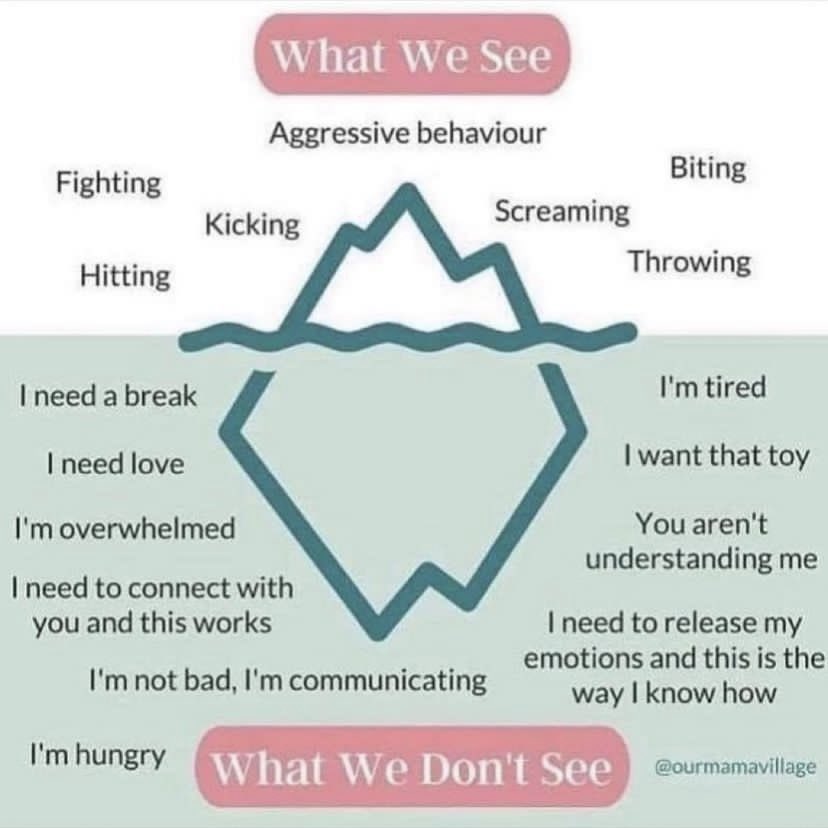 Melissa Gillespie (𝘀𝗵𝗲/𝗵𝗲𝗿) tweet media