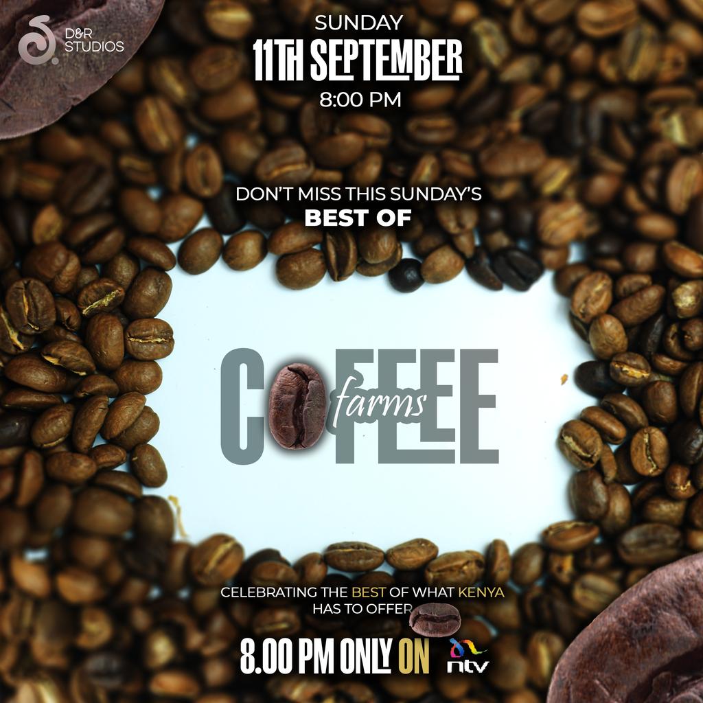 dnrstudioske's tweet photo. Best of Coffee farms airing today at 8:00pm only @ntvkenya. Don't miss out😏

#bestofcoffee #bestof #coffeefarms #today https://t.co/Vr6h8PafIR