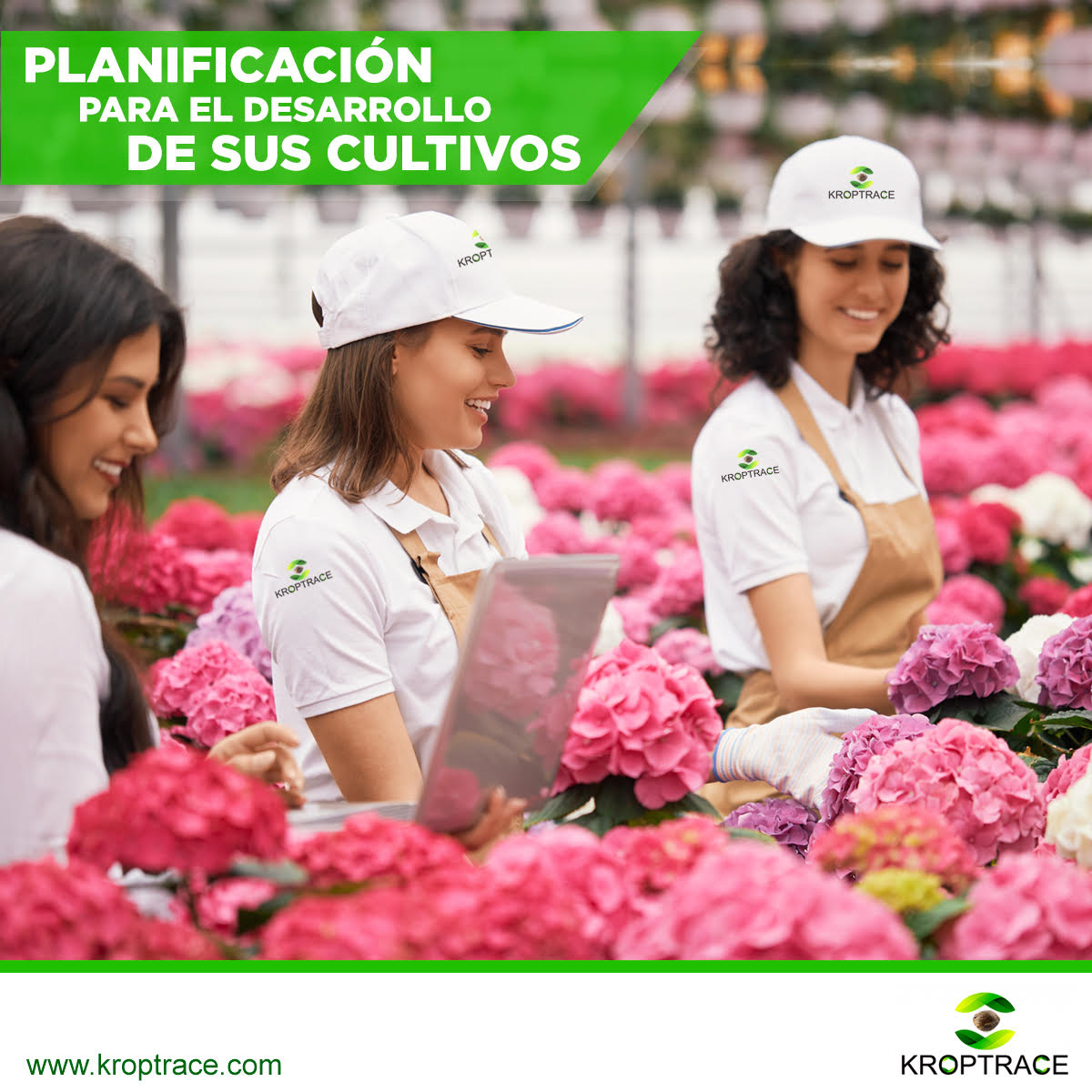 greensterdam's tweet photo. SEED TO SALE / ERP / CRM
Mediante los modulos del software puede registrar cada planta a la vez y calculará automáticamente toda la información que desea obtener para un resultado optimo en los cultivos..

📲 +51 977 337 423 
📩 kroptrace@gmail.com
🌐 https://t.co/1eAfi7Tc4b https://t.co/HxB6wiLFa4