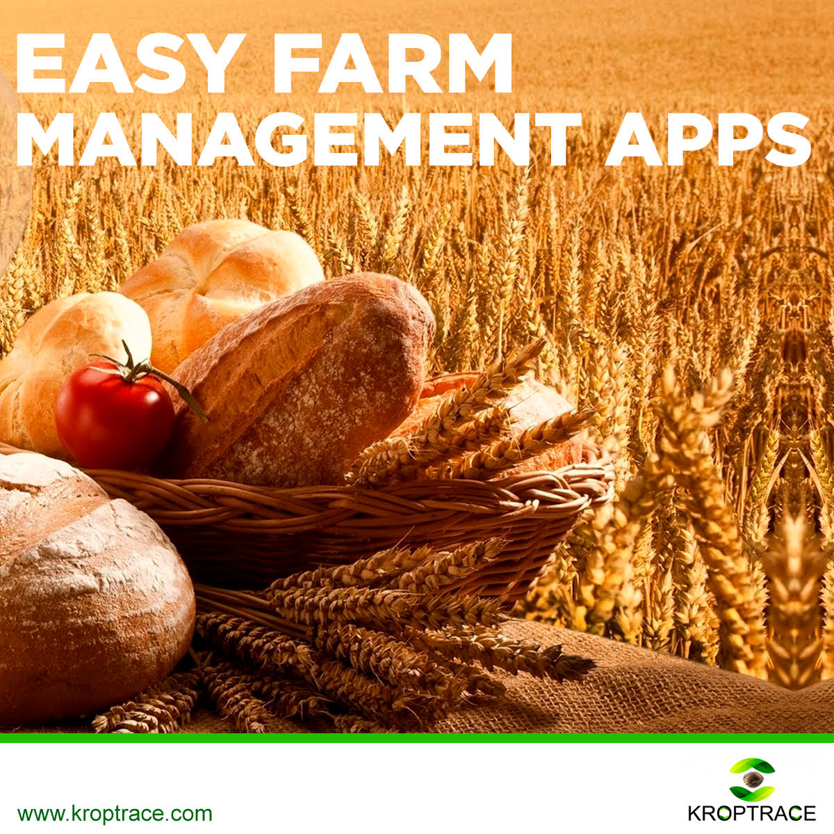 greensterdam's tweet photo. SEED TO SALE / ERP / CRM
Solución completa que comprende aplicaciones que te ayudarán desde la siembra hasta la cosecha, ofreciendo a sus clientes la calidad de un buen producto para su proceso final.

📲 +51 977 337 423 
📩 kroptrace@gmail.com
🌐 https://t.co/1eAfi7BAFB https://t.co/3Sj1ODVXYT