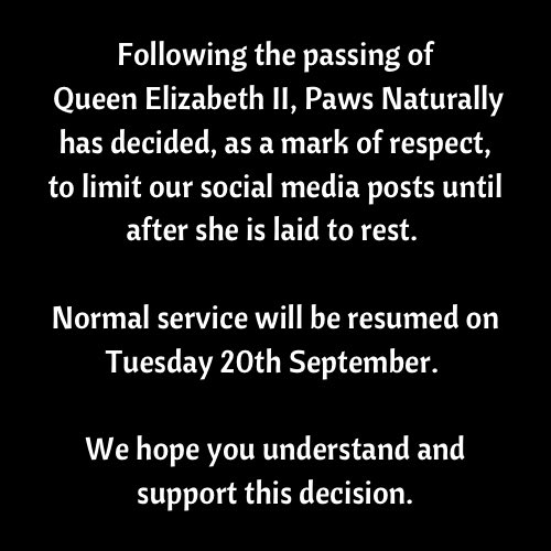 PawsNaturally's tweet image. 