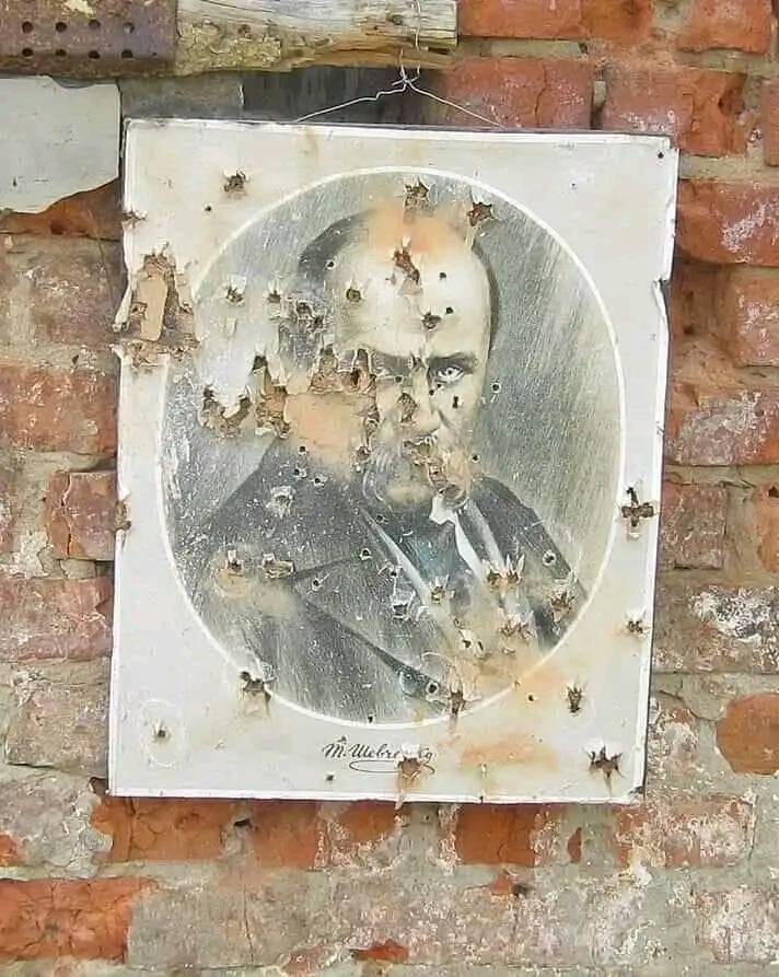 olena pol-naboka tweet media