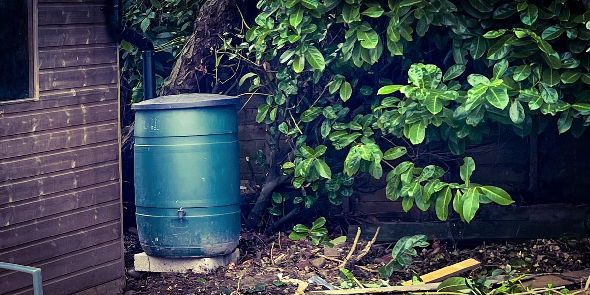 CropShots's tweet image. Butt, you may say. I spent the morning fitting this beauty that I’d rescued  from the tip.