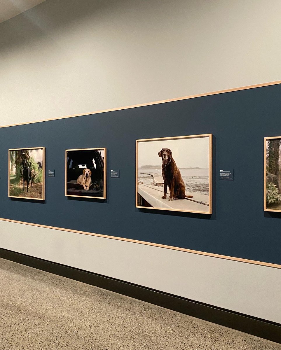 Visited the 9/11 Memorial in NYC for the first time.  It now includes a tribute to the search dogs and therapy dogs who helped people through some very dark days.
