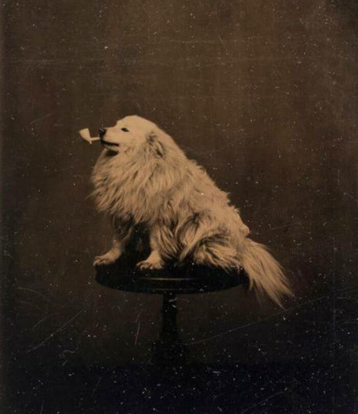 historic-vids-on-twitter-it-s-nice-to-know-that-over-145-years-ago