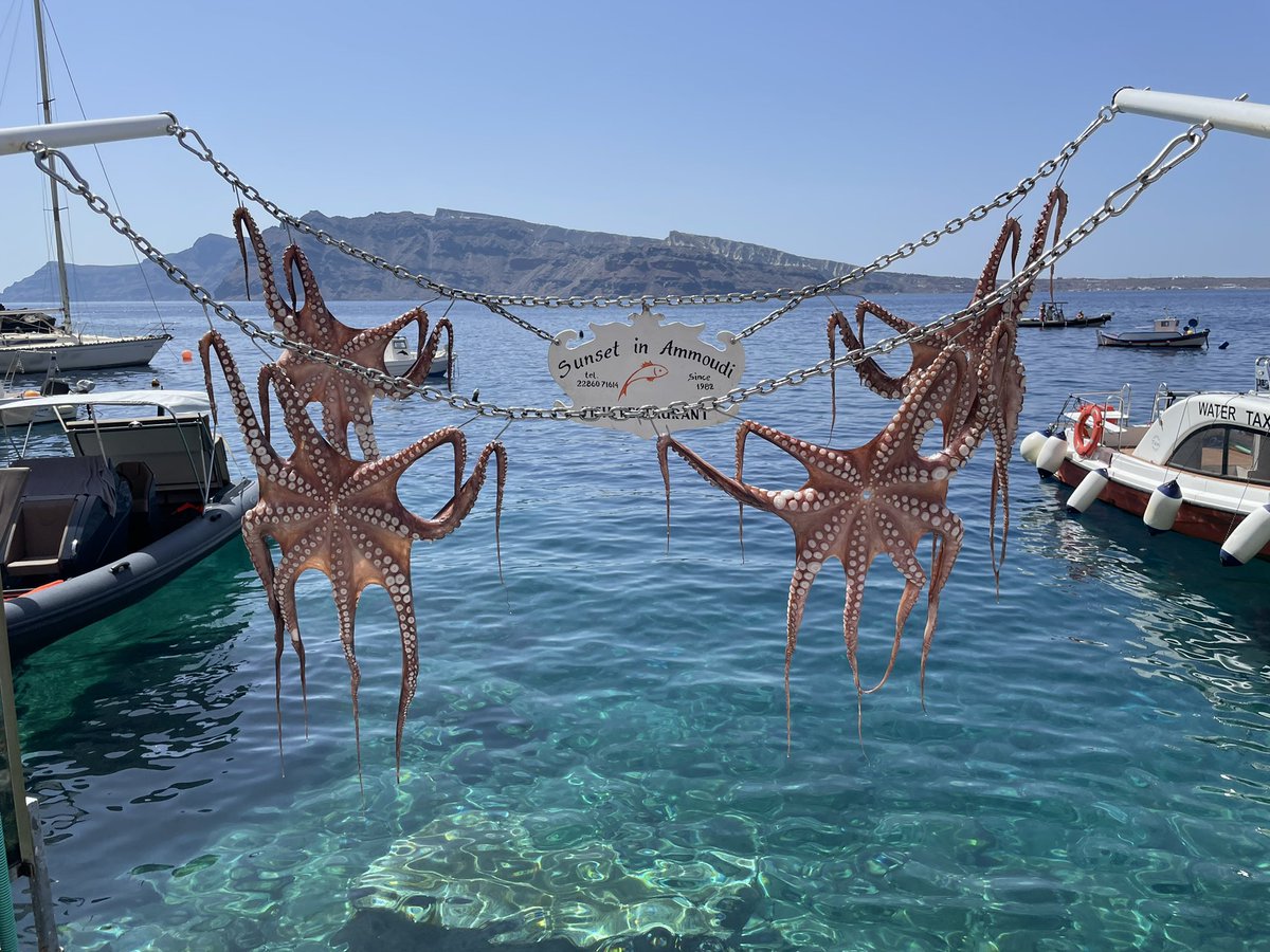 Between some #supine stone crushing and #enucleation man have to find a path to relaxation and recharging our batteries. #wedeservethis <a href="/ZoltanKissDr/">Zoltán Kiss</a> <a href="/adammonyok/">Monyók Ádám</a> @GoumasUrologia <a href="/jackchelchowski/">Jacek Chełchowski</a>