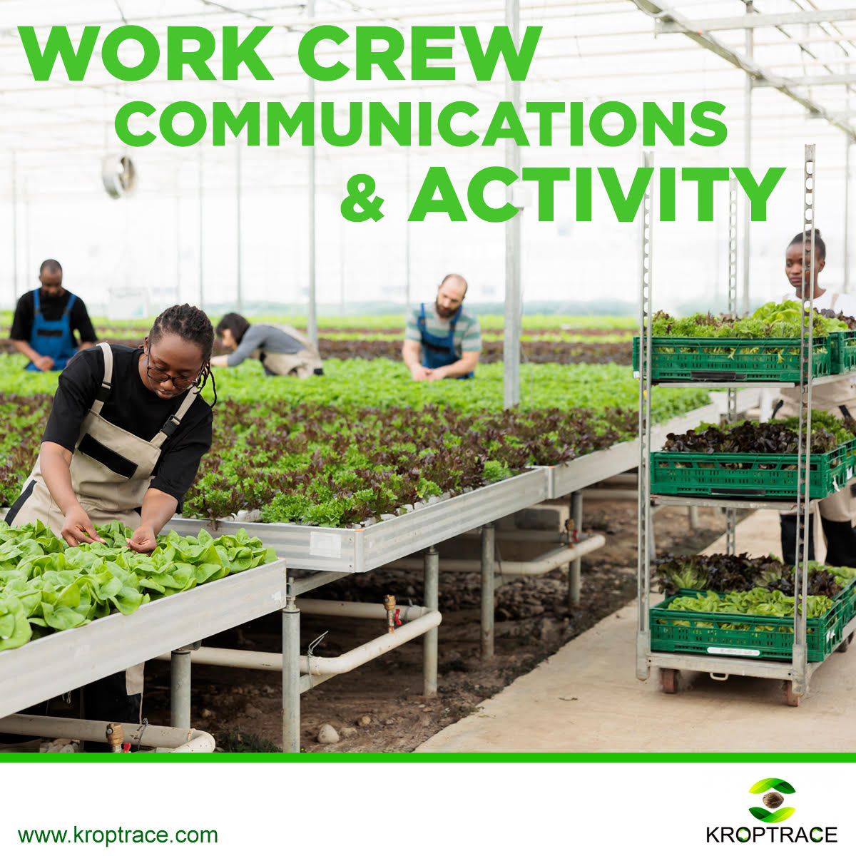 greensterdam's tweet photo. SEED TO SALE / ERP / CRM
KROPTRACE mediante su software y sus modulos programa, realiza sus actividades de seguimiento, supervisa, asigna tareas, comunicandose con sus empleados en tiempo real.

📲 +51 977 337 423 
📩 kroptrace@gmail.com
🌐 https://t.co/1eAfi7Tc4b https://t.co/PnB3DCWUEn