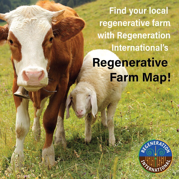 Need help finding organic and regenerative locally produced food? We’ve created a regenerative farm map! Just plug in your zip code, and find a farm near you. 🥦 🥑 🍅

➡️ regenerationinternational.org/regenerative-f…