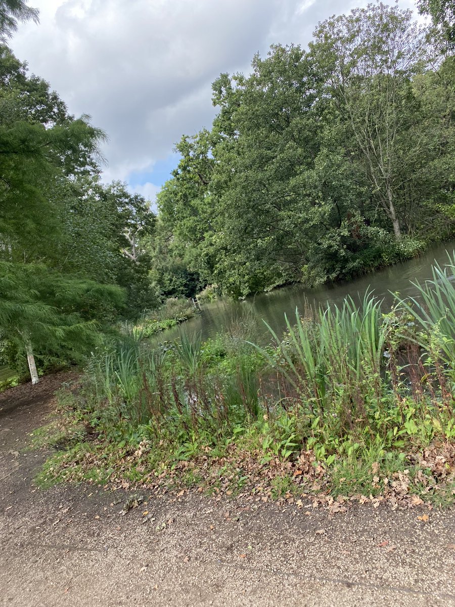 Spampoodle's tweet photo. 11 miles 🏃♀️3 weeks to go! May the tapering begin. #LondonMarathon #runningwithMS #marathontraining #runningchat #runninguk https://t.co/2ItrNgCk16