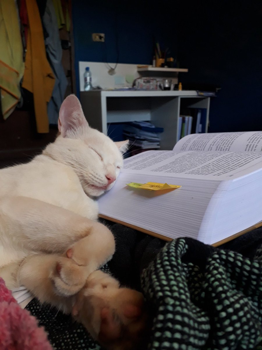 angs🍉📚 tweet media