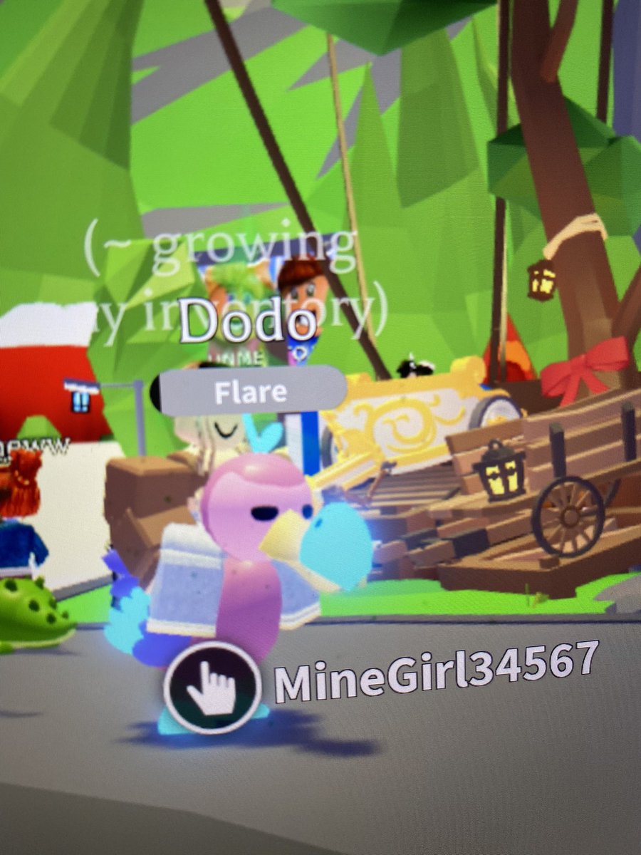Amelizz_'s tweet photo. @PlayAdoptMe Trading NR Dodo for fly / ride potions if possible https://t.co/aYJTnW5fqD