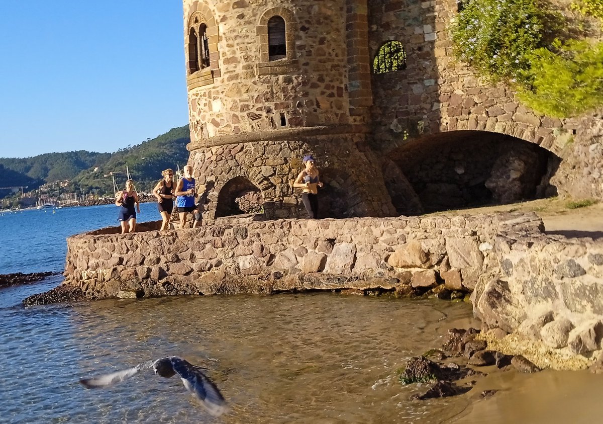 Chapio41's tweet photo. Entraînement sous bonne escorte pour bien préparer la compétition 😆 #WildMove #trail #longecôte #sport  #nature @MandelieuVille https://t.co/Zcq0DmLi1j