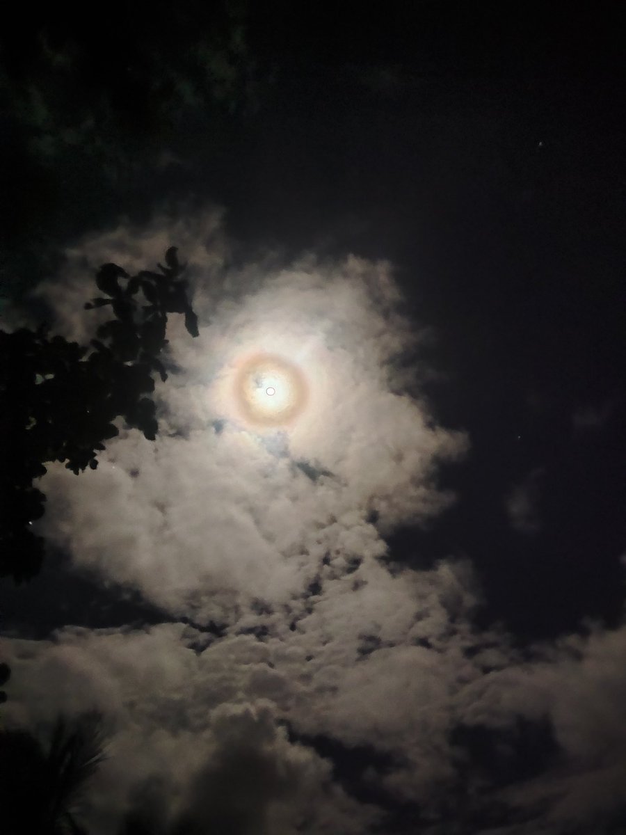 shesnine_'s tweet photo. in its darkness she found comfort https://t.co/UDuDNKp1P3