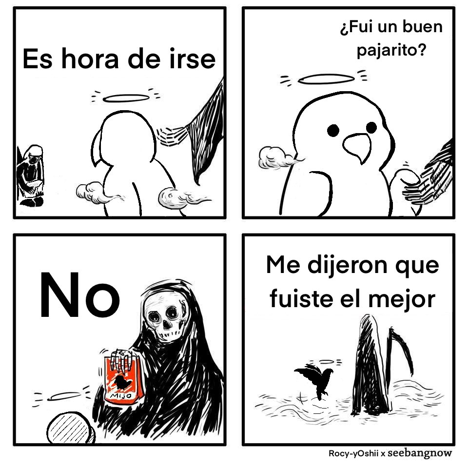 El mejor 🧡💚