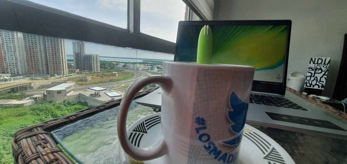 ximesuarezc's tweet photo. Mis niños por acá también se trabaja los domingos.
Cafecito, vista a La cienaga de Mallorquín y Pc. A trabajar 💪💪💪Los dejo.
#ModoPyme #ModoEmpresaria
#Avanzando #SoyYo #155D https://t.co/cn07spUALp