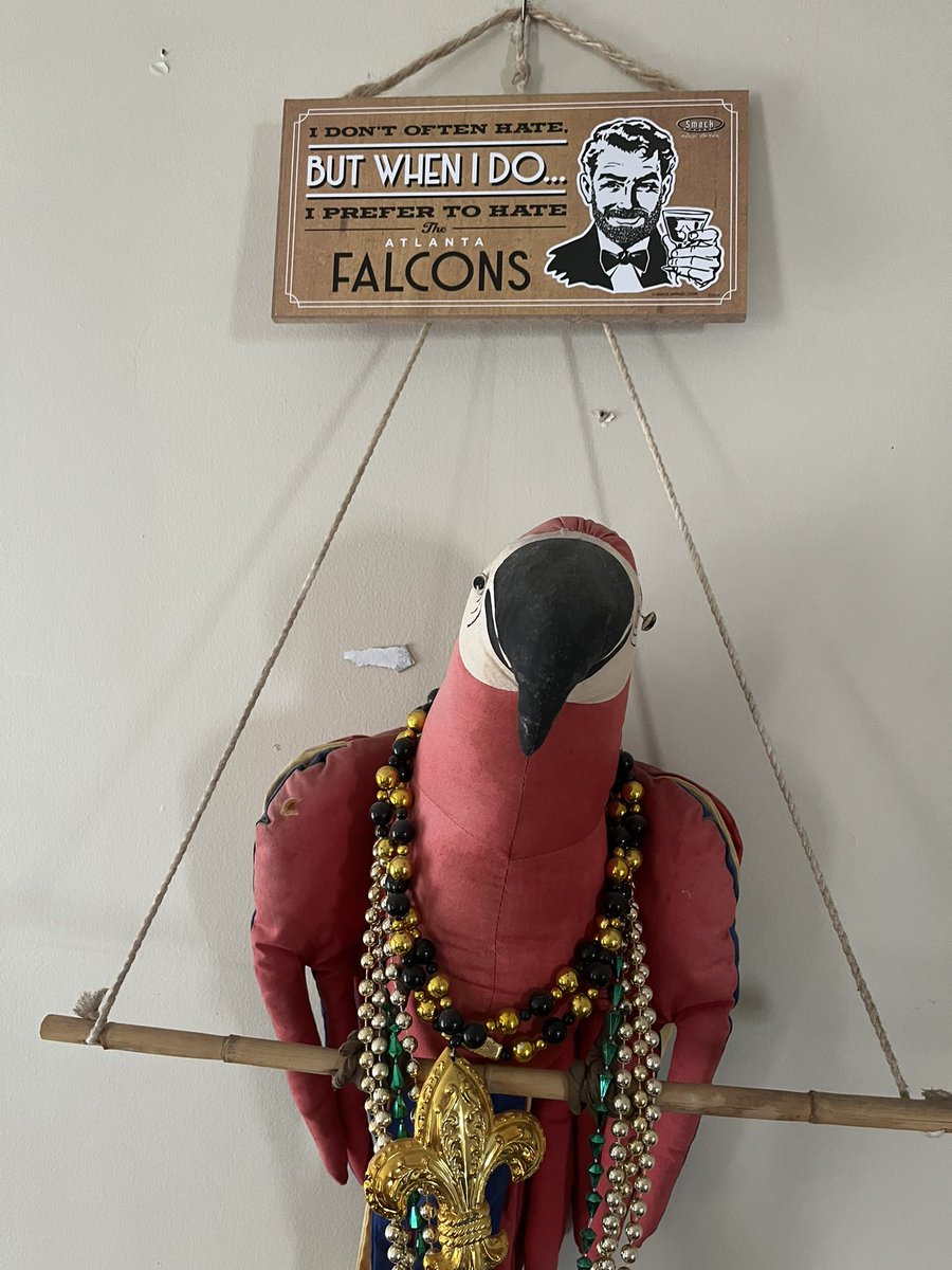 Chris_Mac13's tweet photo. My parrot knows what’s up!! @Saints #whodat #GameDay https://t.co/zEFhfjNvXB